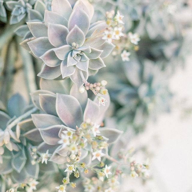 Veronika Maxantova Instagram Photo